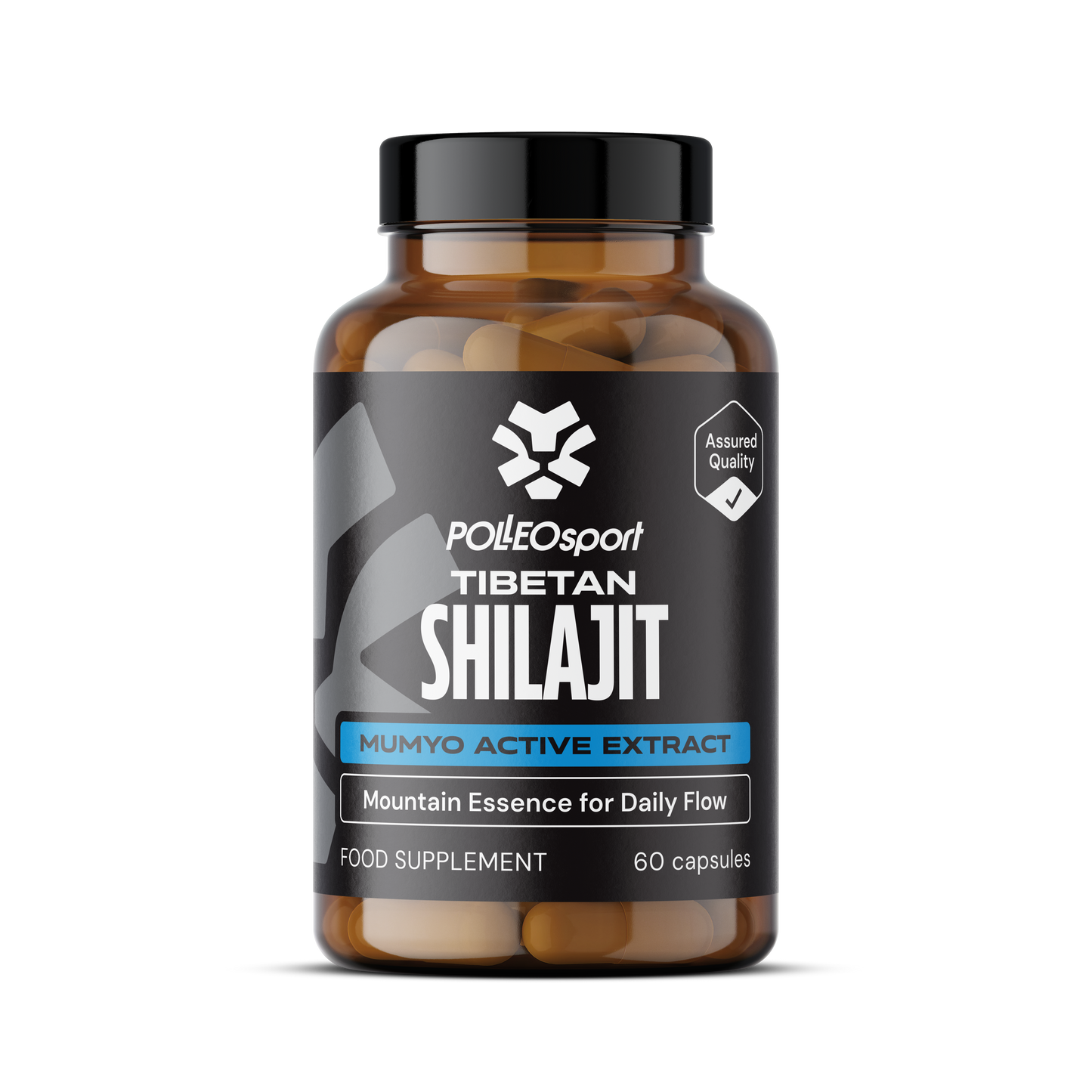 Polleo Tibetan Shilajit, Mumyo Extract, 60 capsules
