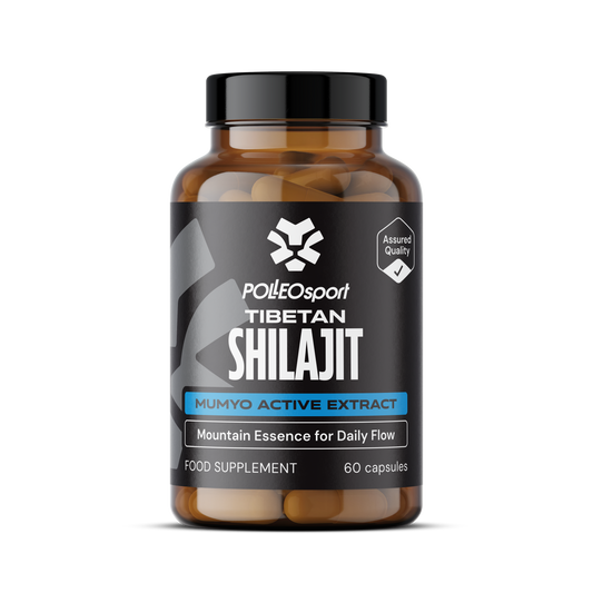 Polleo Tibetan Shilajit, Mumyo Extract, 60 capsules